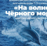 Учителей приглашают провести интерактивный урок «На волне Черного моря» - Газета Канаш