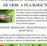 О проведении «горячей линии» по профилактике  клещевого энцефалита - Канашский район