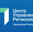 Социология ЦУР: 65% жителей Чувашии обращались на портал «Госуслуги» за последний год - Газета Канаш