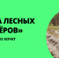 Пройти онлайн-курс по лесному волонтерству и поехать в полевой лагерь - Канашский район