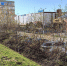 Благодаря платформе обратной связи на чебоксарской улице стало чище - Газета Канаш