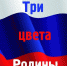 Всероссийская акция «#ЦветаРодины» - Канашский район