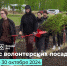 Волонтеры и экологисты Чувашии могут получить премию за помощь в восстановлении лесов - Канашский район