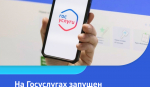 У мошенников нет шансов!